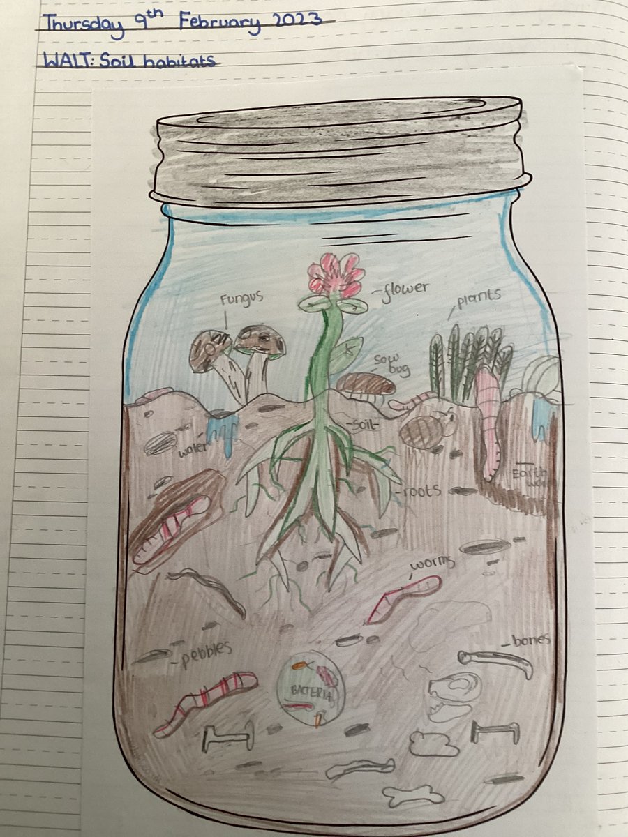 MeadowsideElder's tweet photo. @MeadowsideElder have been looking at soil habitats in science this afternoon and produced some excellent work showing what living things live in a soil habitat. #Meadowsidescience https://t.co/dmOZ4ndBC7