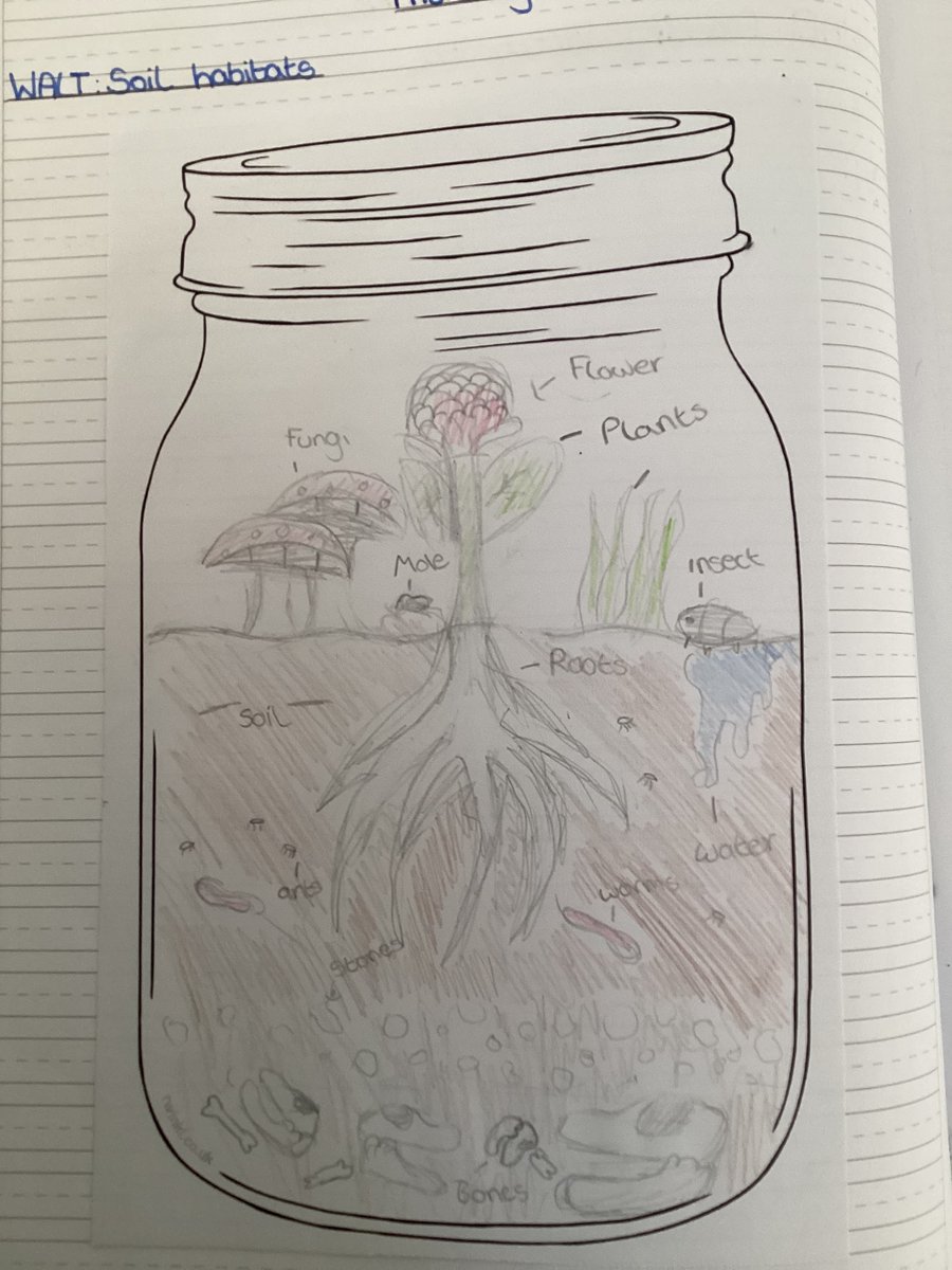 MeadowsideElder's tweet photo. @MeadowsideElder have been looking at soil habitats in science this afternoon and produced some excellent work showing what living things live in a soil habitat. #Meadowsidescience https://t.co/dmOZ4ndBC7