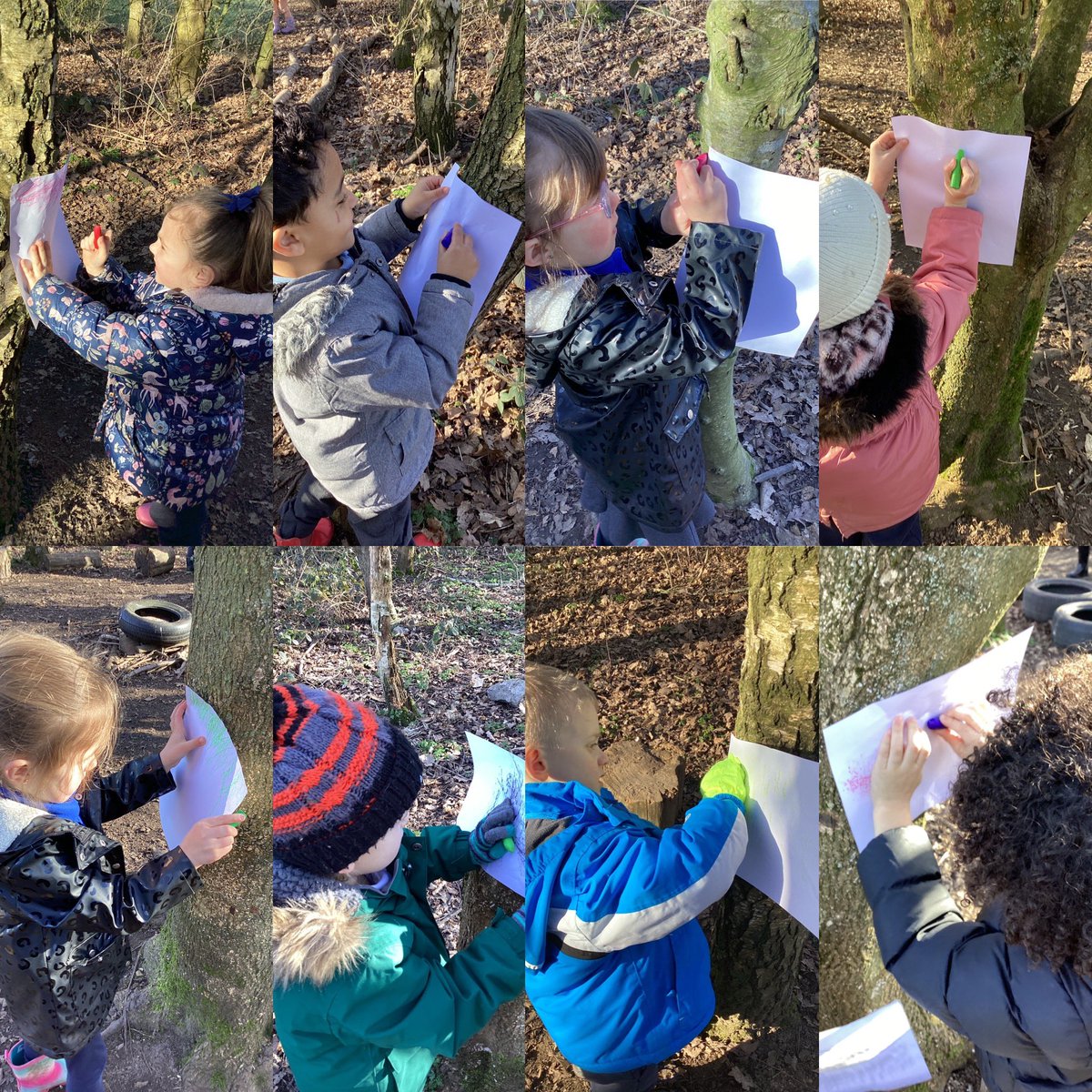 StJohns_Eagle's tweet image. REC have had a glorious, sunny afternoon in the forest taking bark rubbings and comparing their patterns. ☀️🌳☀️🌳☀️ #springisonitsway