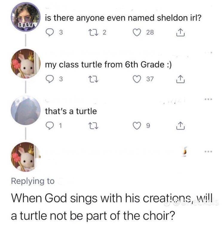 Braindead Bird App tweet media