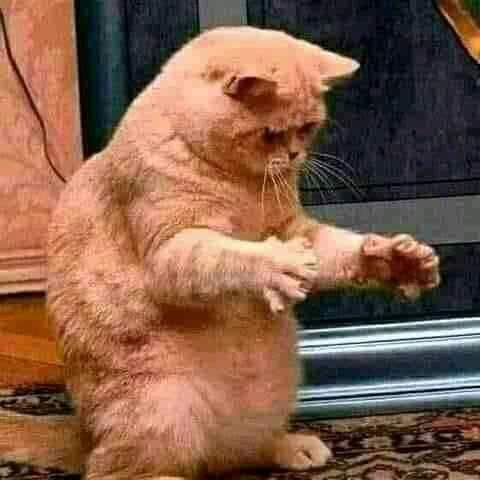 Wallashizzy's tweet photo. @MsRampozi You min le..??? https://t.co/CJ30LUGlU3