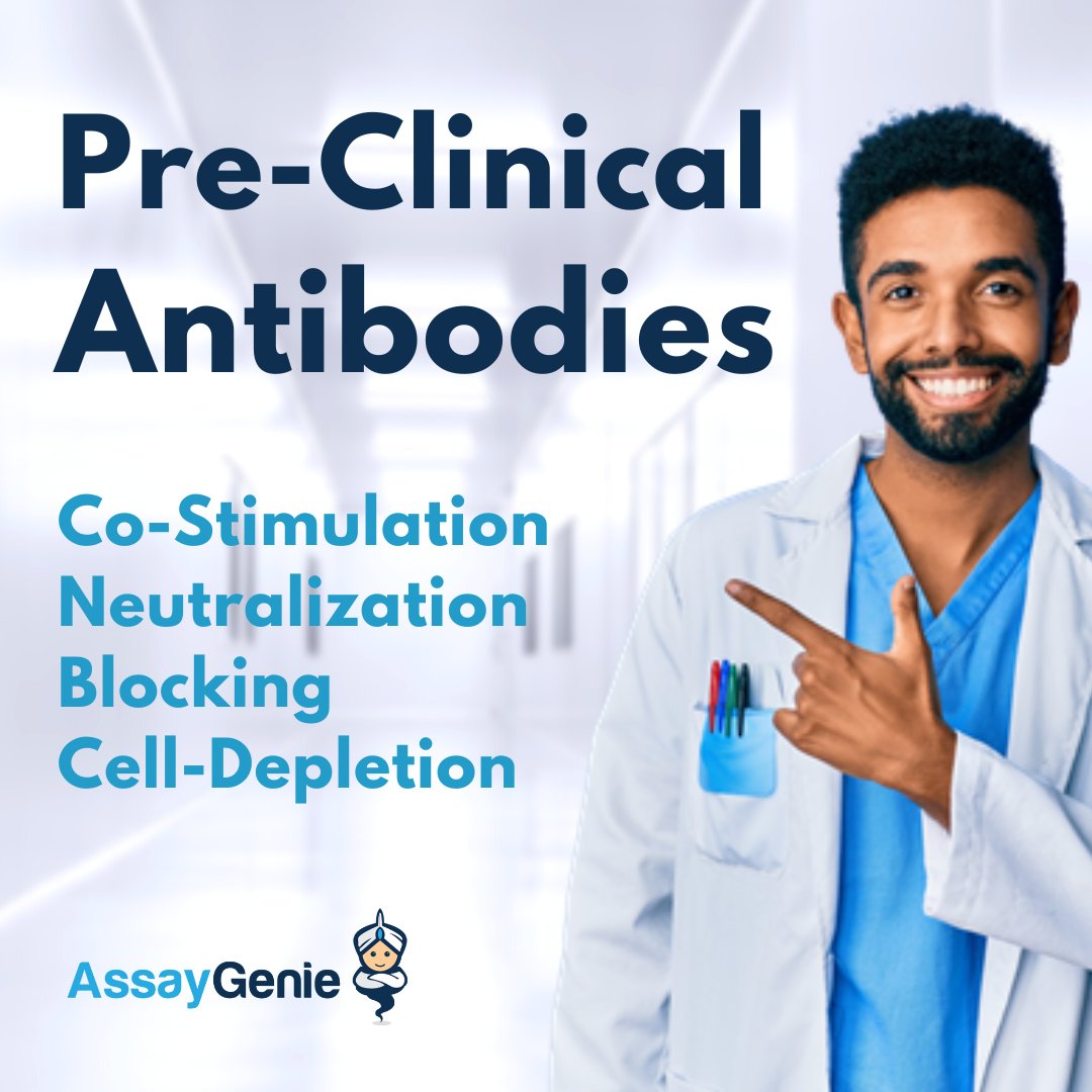 AssayGenie's tweet image. Introducing our newest range of pre-clinical antibodies which have the highest quality standards in the industry with extremely low levels of endotoxin and up to ≥ 98% purity.

Validated for use in ELISA, FC, ICC, IHC-PE, IP, WB &amp;amp; more!

Visit:
assaygenie.com/in-vivo-functi…