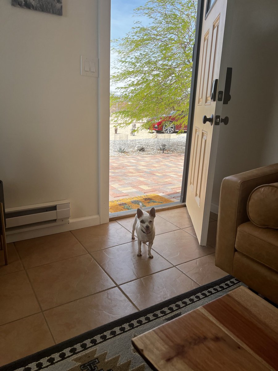 Lol Wisdom Panel got Ollie real good