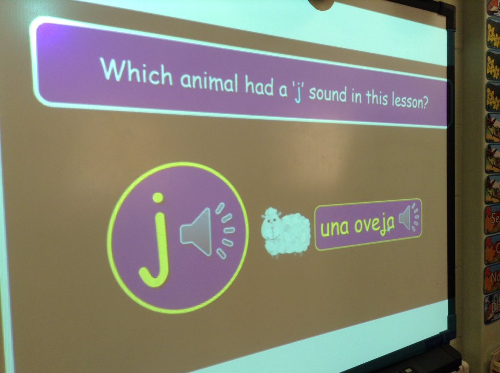 We have been been completing an animal spelling quiz in Spanish this afternoon and revising some Spanish sounds #swhspanish