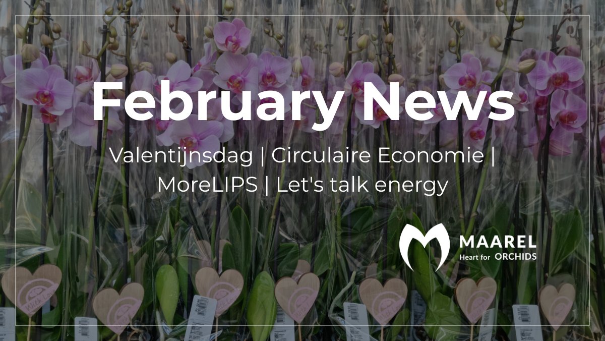 Daar is hij dan, de eerste nieuwsbrief van 2023! Volgende week is het Valentijnsdag, een mooi moment om jullie op de hoogte te brengen van de laatste ontwikkelingen! - mailchi.mp/87e715b89aa3/v…