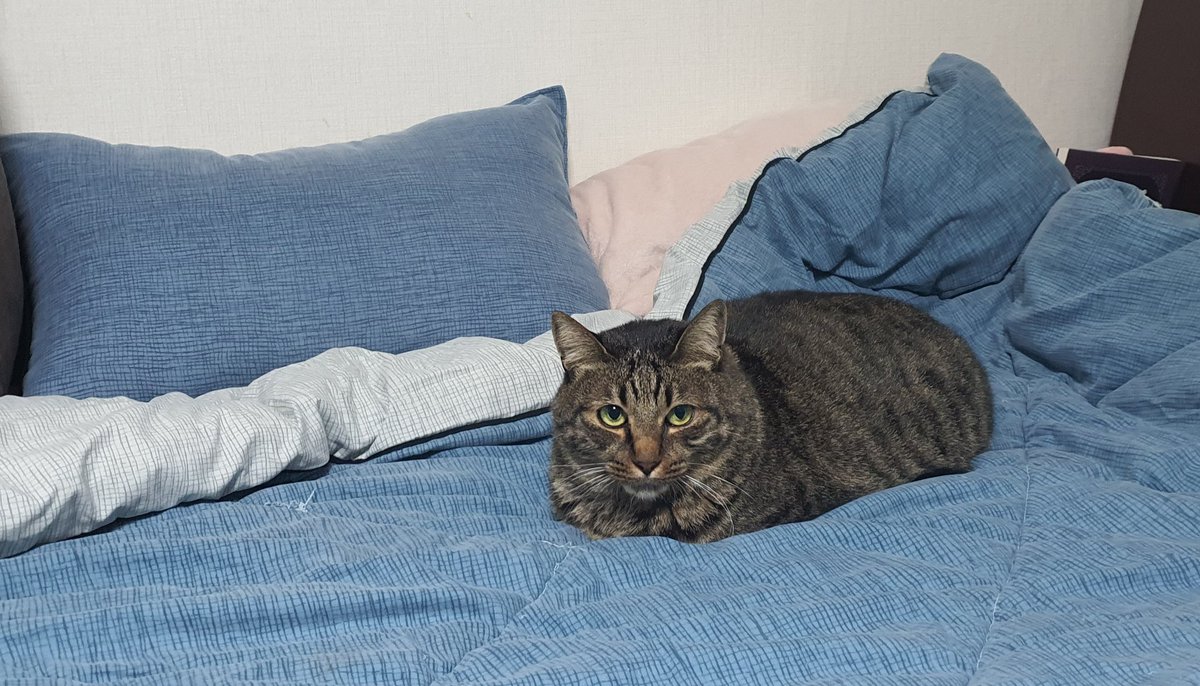 울애기 많이 컸다...해삼댔내