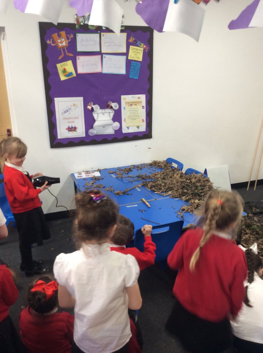 Year 1 used a hairdryer to recreate a storm to see what would happen to a habitat. They made an incredible mess but were amazing at tidying up!