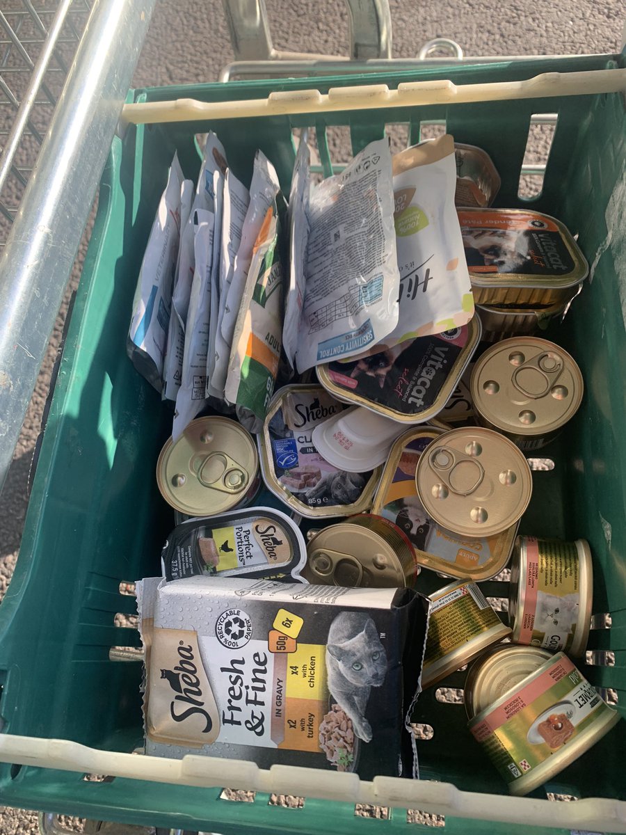 pinherts tweet media