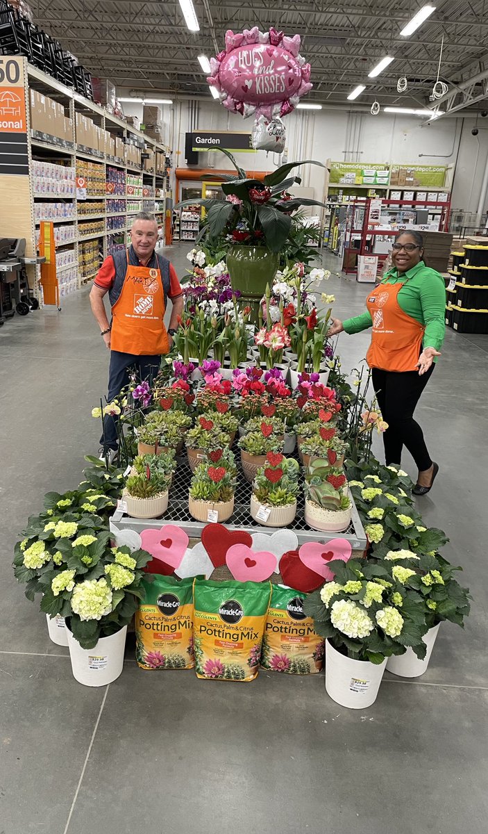 Marty Harris (@martyatlga) on Twitter photo Great support from Costa Farms pure beauty farms shop with Marty at Buckhead 6986 container valentines fresh foliage weekly <a href="/kelly_mayhall/">Kelly Mayhall</a> <a href="/MarkCoxHD/">Mark Cox</a> <a href="/freddyplants/">Fplants</a> <a href="/ShawnDDavis/">Shawn Davis</a> <a href="/MoveandLose/">PATRICIA MABEN</a> Great support from Costa Farms pure beauty farms shop with Marty at Buckhead 6986 container valentines fresh foliage weekly <a href="/kelly_mayhall/">Kelly Mayhall</a> <a href="/MarkCoxHD/">Mark Cox</a> <a href="/freddyplants/">Fplants</a> <a href="/ShawnDDavis/">Shawn Davis</a> <a href="/MoveandLose/">PATRICIA MABEN</a>