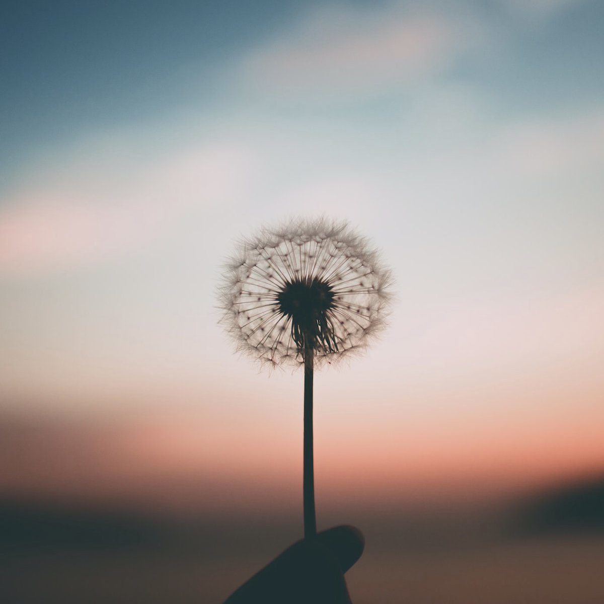 zen_habits's tweet photo. Deepen in Each Moment
https://t.co/EyK7STWnhd https://t.co/RXcY9Uuo5N