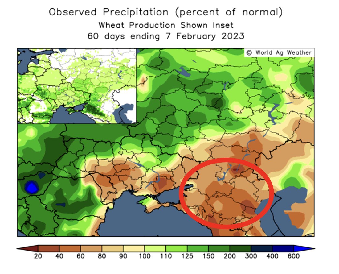 sizov_andre's tweet photo. The Black Sea winter #wheat belt is remaining too dry. Russian South, a key grower, is of particular concern. The outlook remains drier than needed for the next two weeks, while plants will need that moisture in a month already.

More: https://t.co/N2zqUfHUSt

#agwx #oatt https://t.co/fhd74DcTXp
