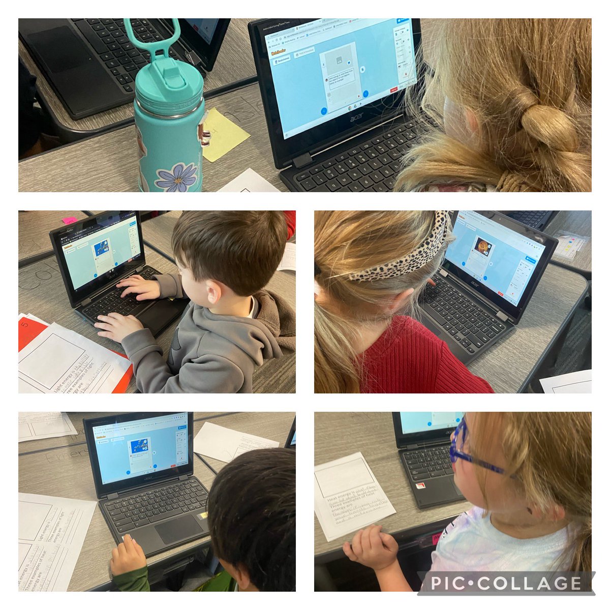 Kaitlin Ward tweet media