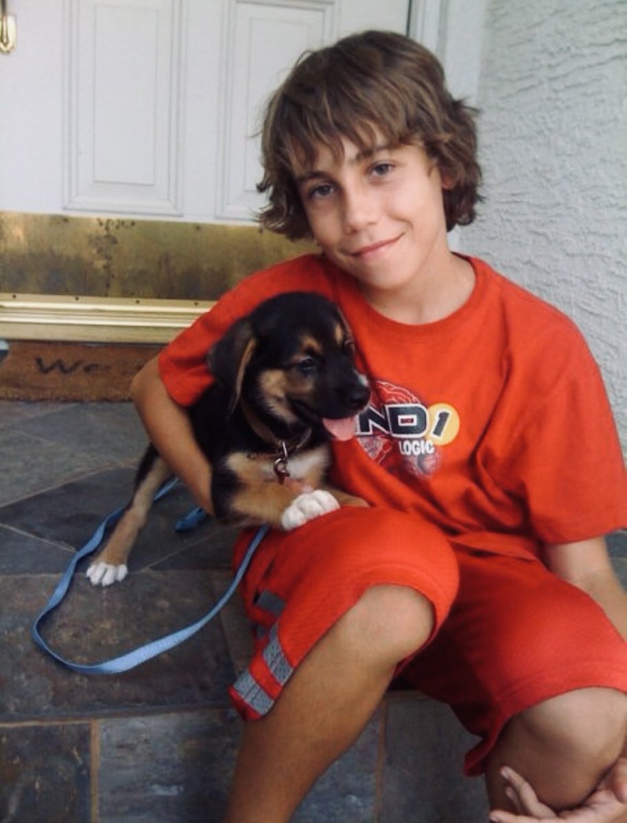 lanham_johanna's tweet photo. @LabradorYuki Then and now. A boy and his dog. https://t.co/Jc0jdKpxjH