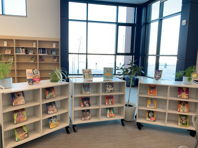 Welcome to the birth of an incredible school library!
 Book by book and shelf by shelf, the Bison Run Learning Commons is coming to life! #BisonRunReads