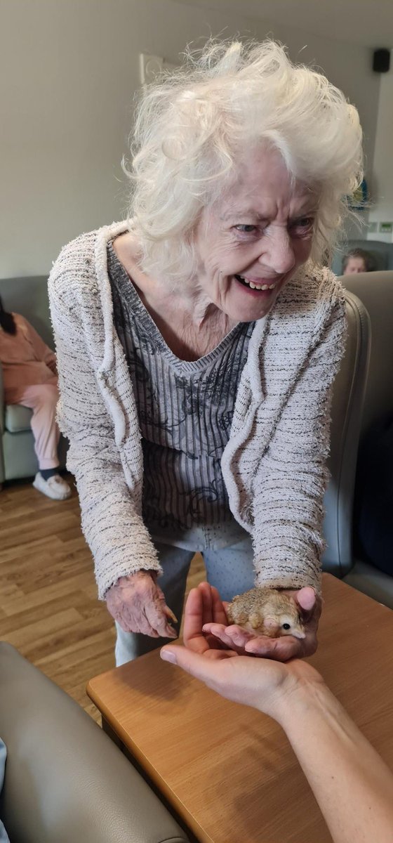 Loran House in Hull had another wonderful session with Lion learners!

They brought in some amazing animals to meet all the residents!

Everyone had such a wonderful time meeting the fuffy and scaly critters, they cannot wait for the to visit again!

 #LionLearners