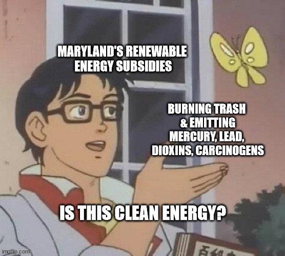 CleanWater_MD's tweet photo. It's strange but true - for a decade, MD has wasted our renewable energy $$$ profiting companies that burn trash! It's time for that to end -  click here to support @DelegateStewart &amp; @KarenLewisYoung's #ReclaimRenewable Energy Act! https://t.co/FstsZjGJO2 #mdga23 #ZeroWaste https://t.co/fUYCMNWGt6