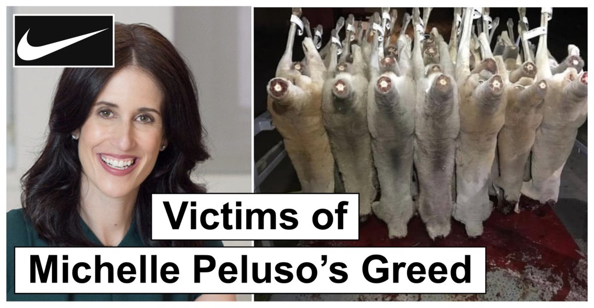 theirturn's tweet image. When @Nike hunters shoot kangaroos in the head (to steal their skin for sneakers), 500K to 800K joeys are orphaned each year. #NIKE slaughters these babies with a blow to the head or leaves them behind to die. Michelle Peluso, Nike's "corporate responsibility" czar, doesn't care.