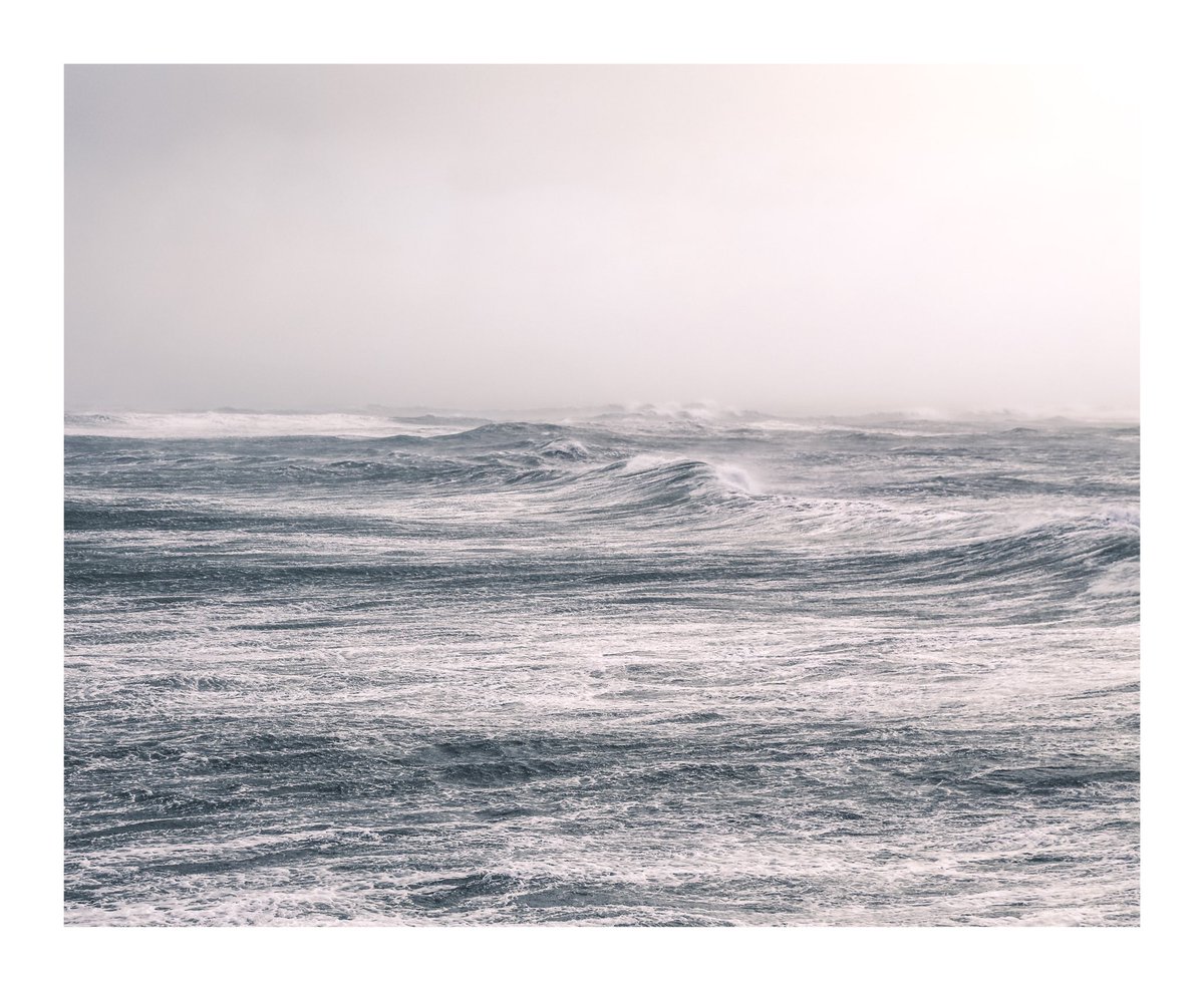 Superfolk tweet media