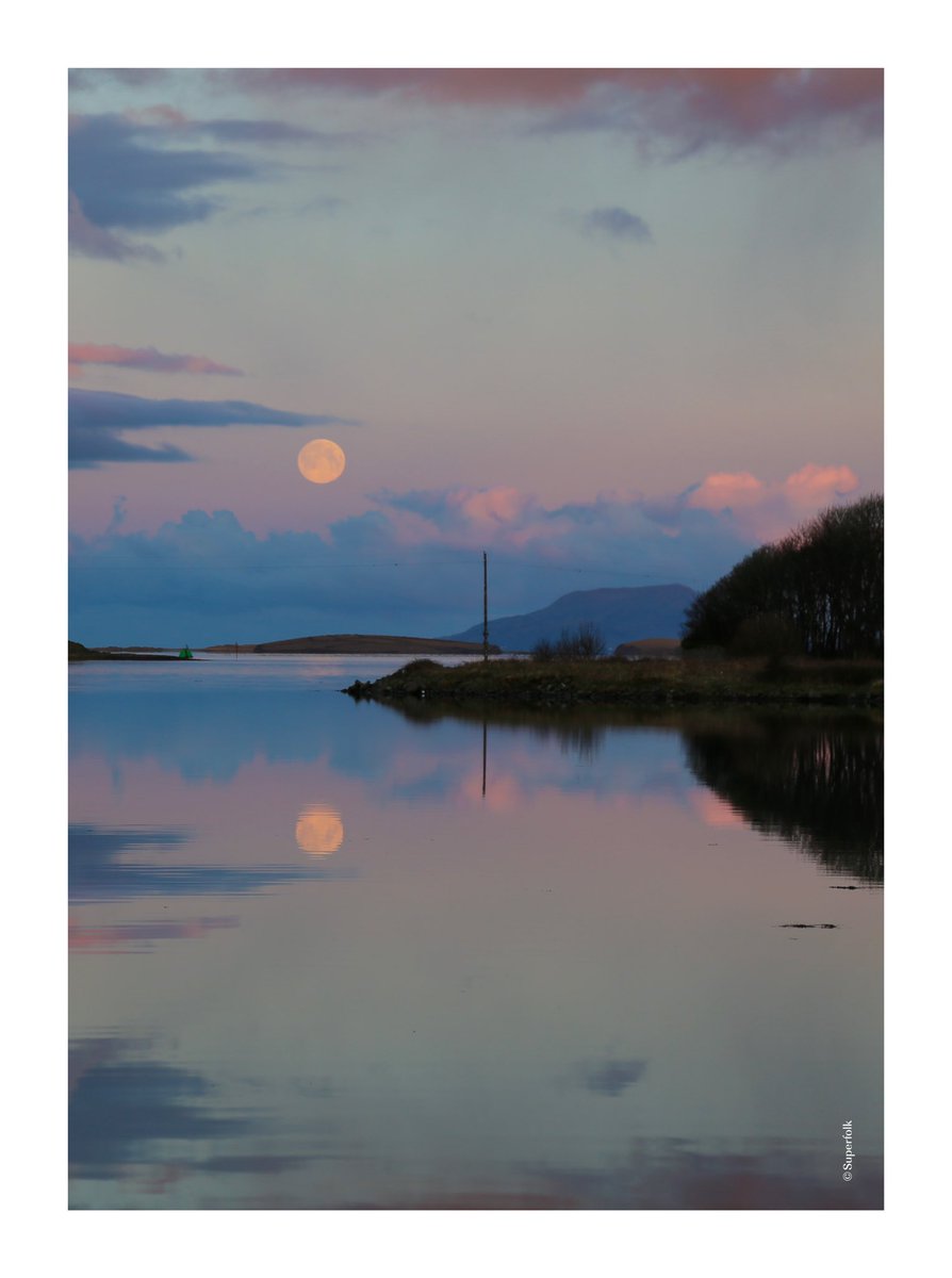 Superfolk tweet media