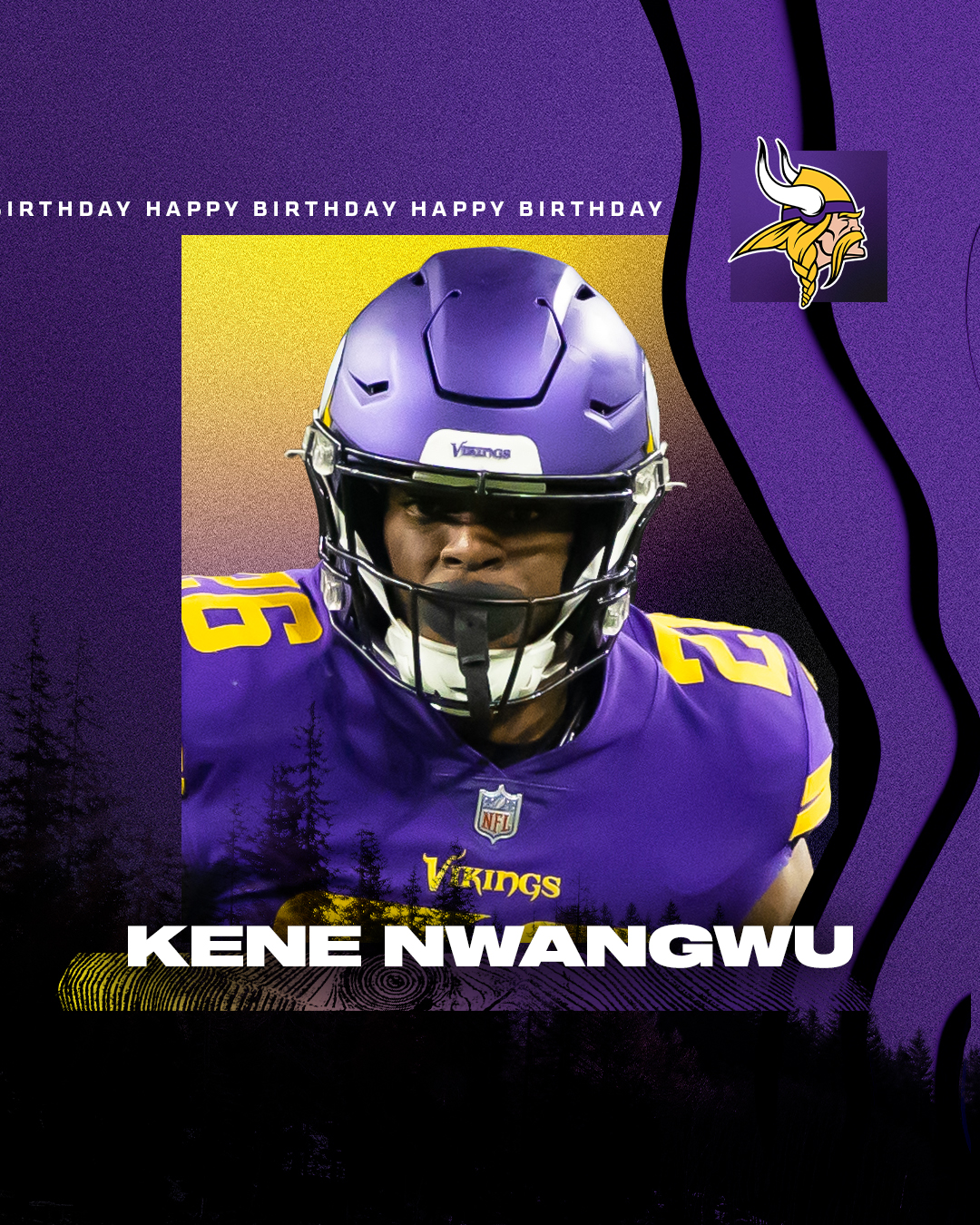 minnesota vikings happy birthday