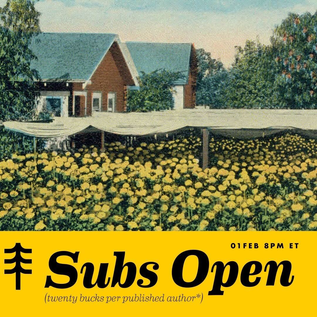 longleaf review 🍃 tweet media