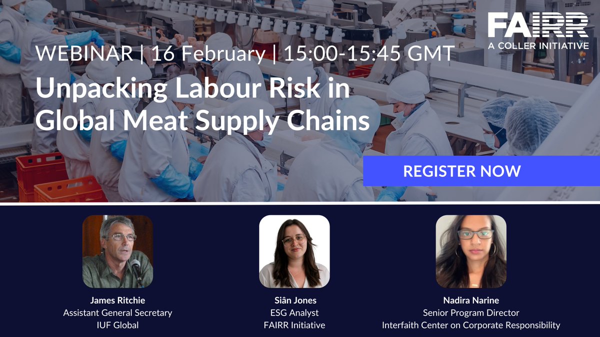 FAIRRInitiative's tweet image. WEBINAR: Join us on 16 February for an in depth look at the state of #labour risk in the #meatpacking industry. Speakers: Siân Jones, FAIRR, James Ritchie @jamesritchieiuf, @IUFglobal, Nadira Narine, @ICCRonline.

Register here: bit.ly/3l4P6Mu.