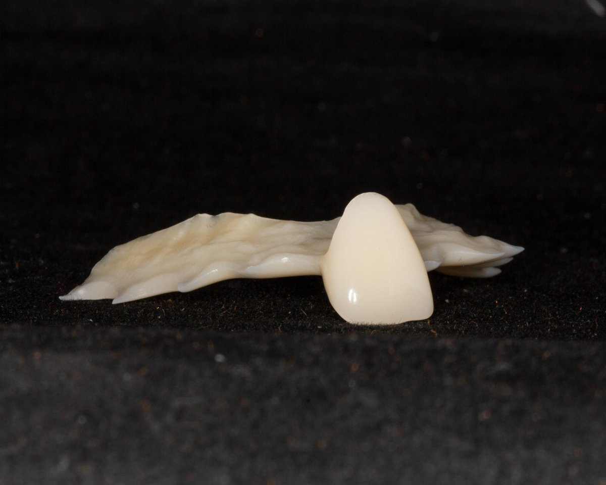 Hallmark Dental Lab tweet media