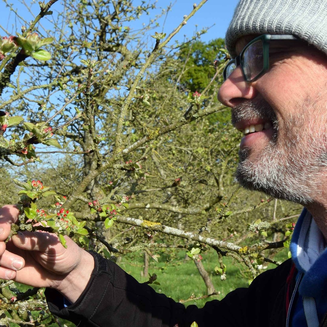 Dunkertons's tweet photo. Finally, Herefordshire locals can get their organic cider fix!☀️
We're reopening our Pembridge shop tomorrow after a long, gloomy January.
Come and see us, Fridays and Saturdays 10-5pm

#organiccider #ciderworld #herefordshire #visitherefordshire #apples #ciderapples #orchards https://t.co/u2JJCT4IoC