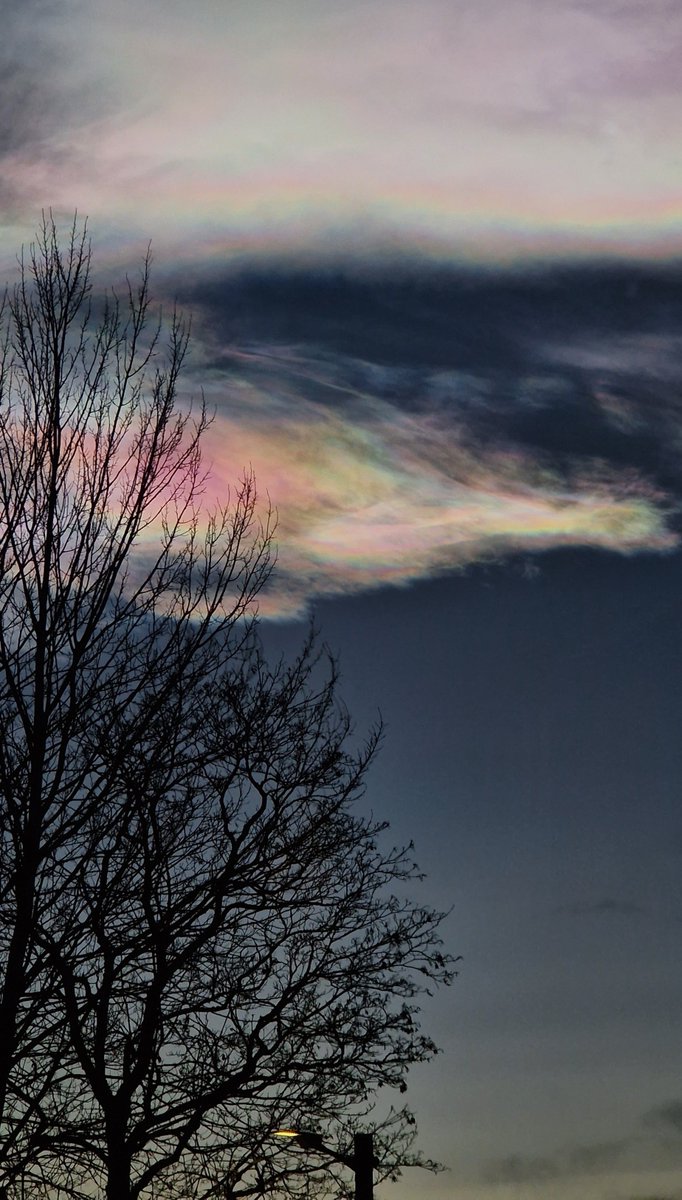 Mariike Kuijjer tweet media