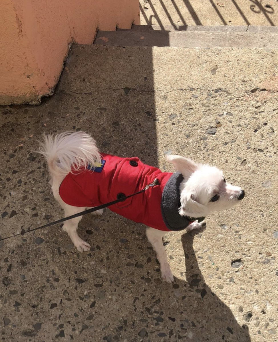 mlvx__'s tweet image. jelly bby i miss you so much 
home isn’t the same without you