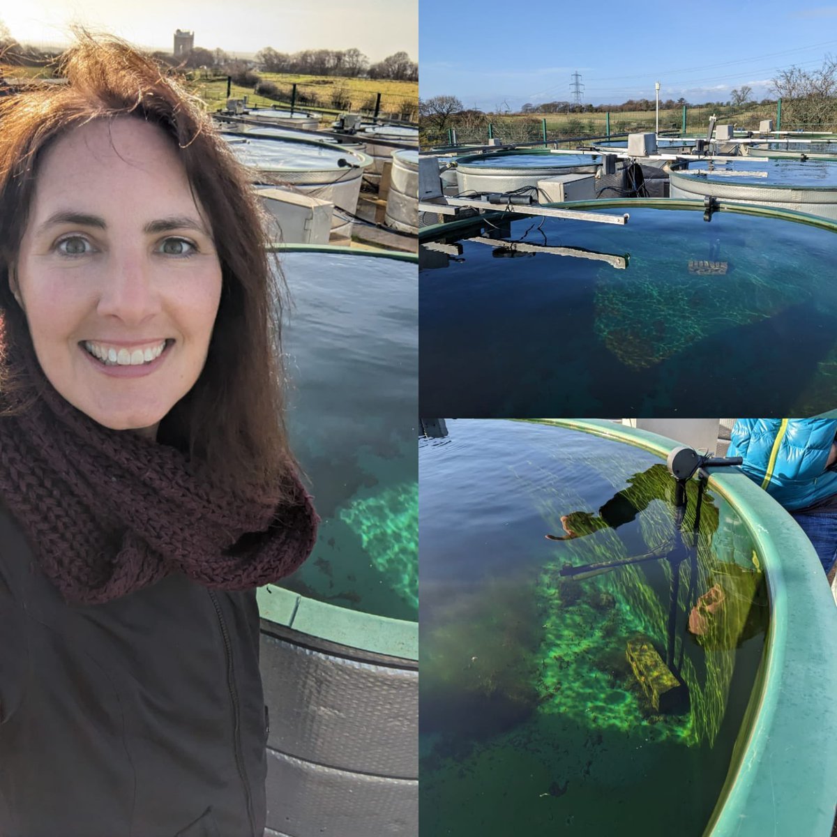 BioSScotland's tweet image. We&apos;re excited to be starting the work on our @NERCscience project modelling microbial C flux from lakes.🌊 

Dr @helenRKettle visited the mesocosms at @UK_CEH today!

@WarwickLifeSci #MathematicalModelling #MicrobialCommunities