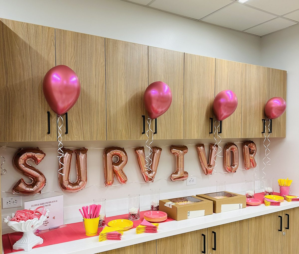 SAC_OSR's tweet photo. Today we celebrated our Superhero, Anabell. She #BeatCancer and rejoined us after a tough but courages and successful fight. #SACProud #SACStrong πͺπ½ Knocked Down but Never Knocked Out! πͺπ½ https://t.co/ookDM2yA65