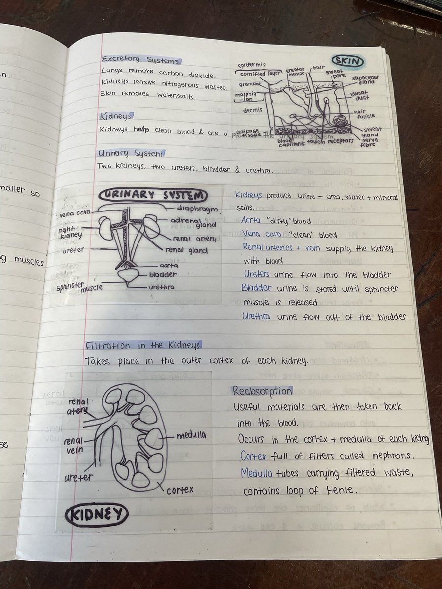 RCS Science tweet media