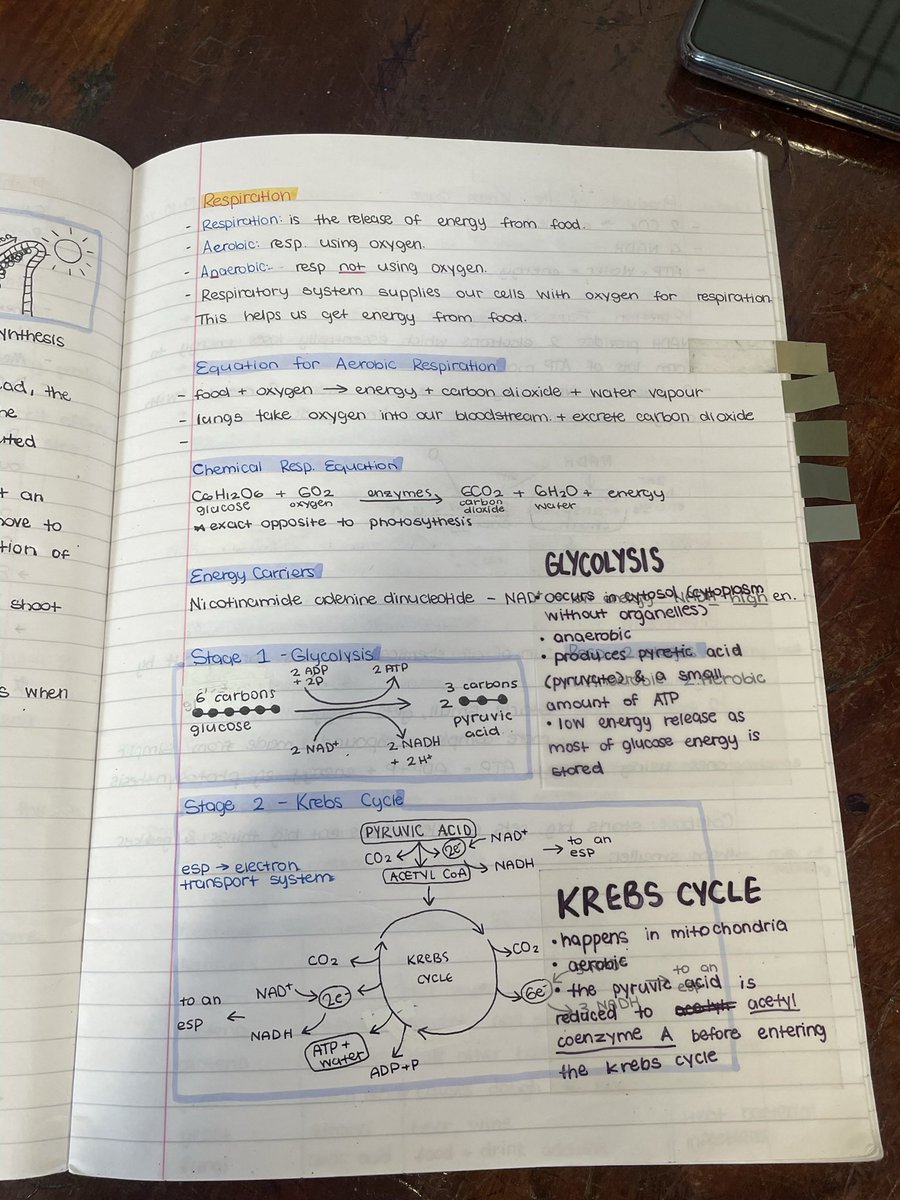 Some very pretty pictures Biology notes taken from a 6th years copy 😍😍 #lcbio