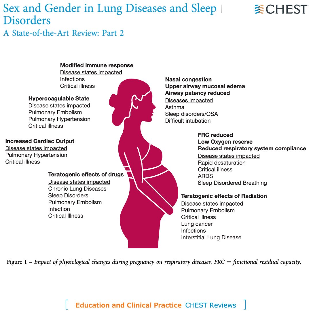 Differences in sex and gender contribute to the incidence, presentation, diagnosis and clinical course of lung diseases. Read this #CHESTReview from the February issue to learn more: hubs.la/Q01BLkXy0
#JournalCHEST #MedEd #CHESTSleep