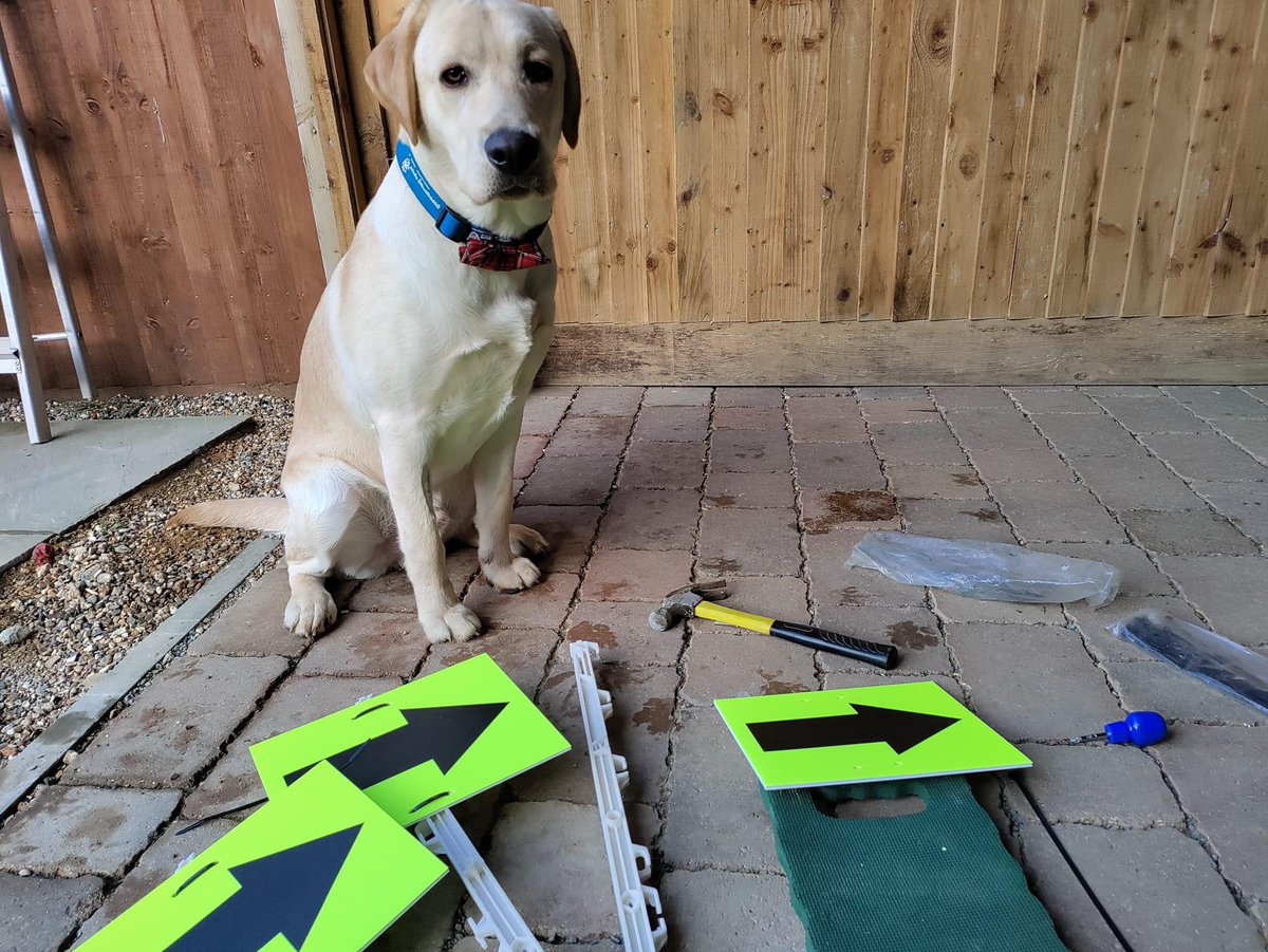 Sitinbrnparkrun's tweet photo. We do have some clever dogs at #parkrun Milo assisted with setting up the new route signs! Thanks Milo! #dogsatparkrun #volunteer #assitancedogs https://t.co/5neDI9kW1P