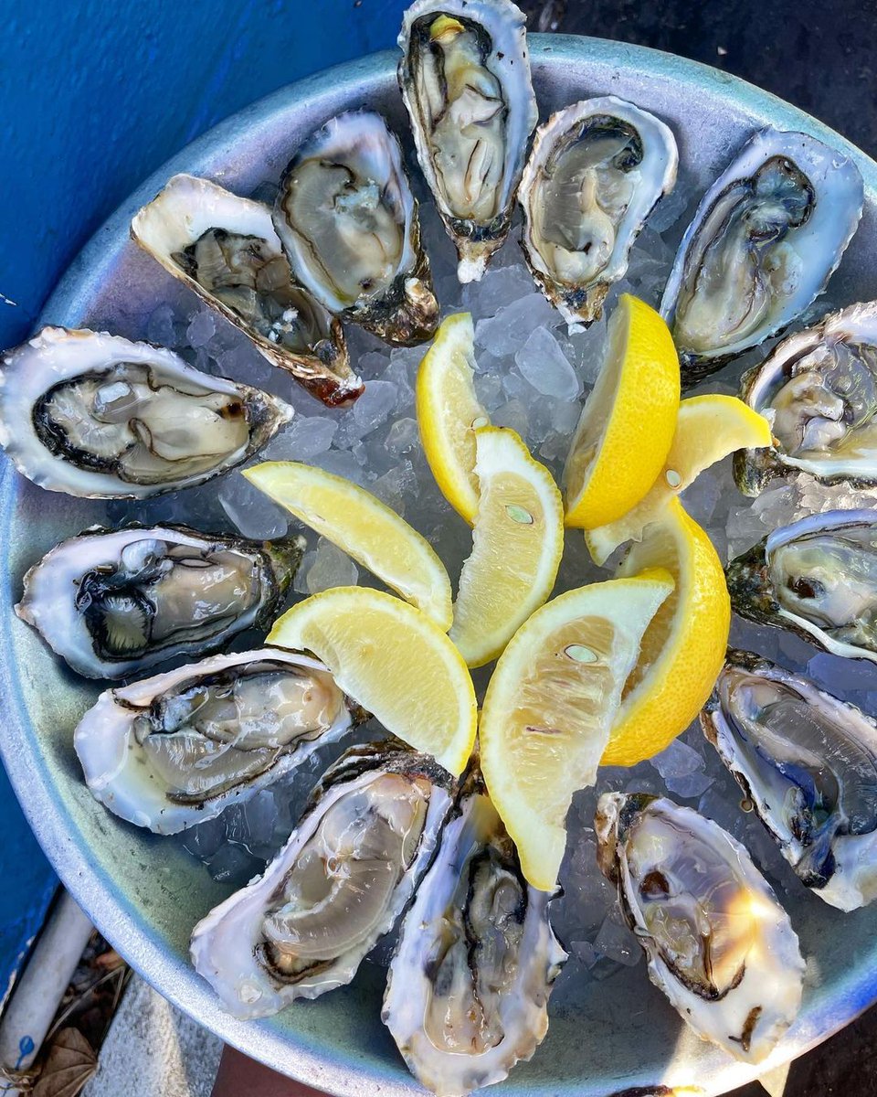 Oyster lovers, it's time to gather! 🦪 $1.25 oyster night is TONIGHT at Pacific Beach Fish Shop, starting at 4 pm 🔥 Who's in? 🙋‍♀️🙋‍♂️ #oysternight #pacificbeachfishshop

📸 @thisplate.nyc