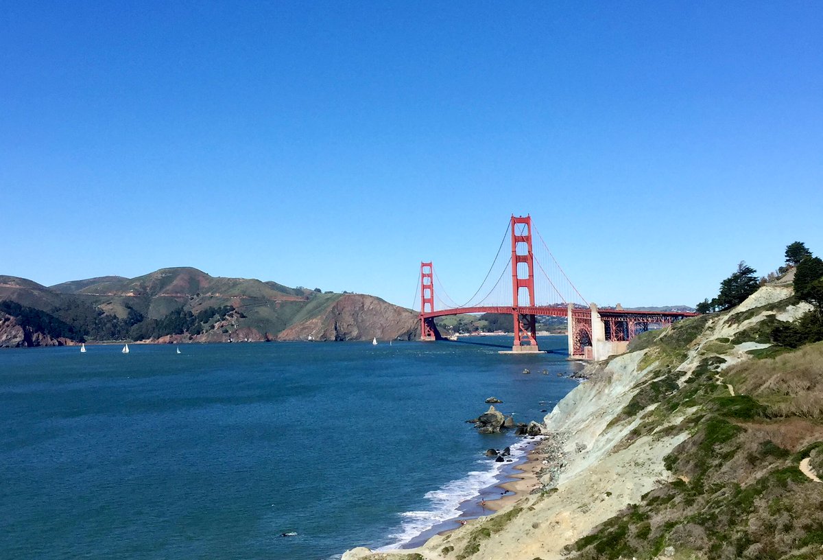 Adam Noffsinger tweet media