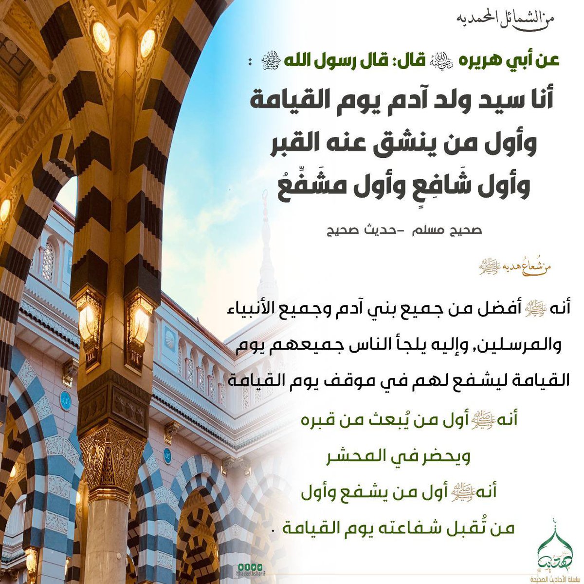 ✨ شُعَاعٌ مِنْ هَدْيِ النَّبِيِّ ﷺ ✨ tweet media