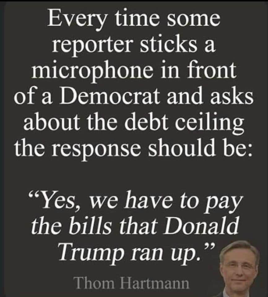 JayeJaybird54's tweet photo. This is an outstanding idea! No one will be sticking a microphone in front of me, but I’ll be saying this every chance I get! #DemVoice1 #ProudBlue https://t.co/axgaw916Xy