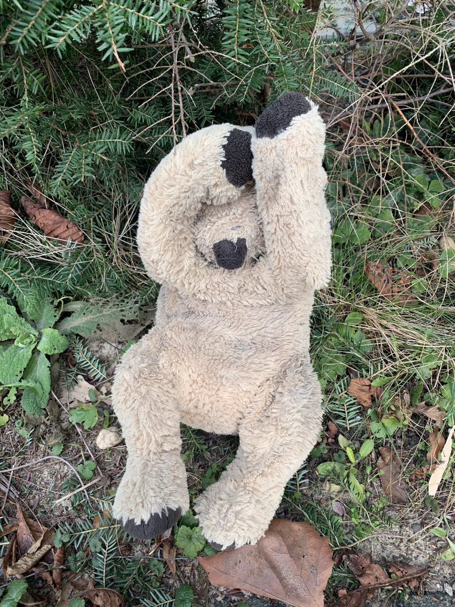 BoaEde_Victor's tweet image. Vanochtend een bijzonder stuk #valwild van de weg gehaald, maar deze wordt vast gemist….😊 We hopen op een spoedige hereniging met de eigenaar! Locatie: N224 t.h.v.  de A12. Contact via PB. #vermissing #knuffel