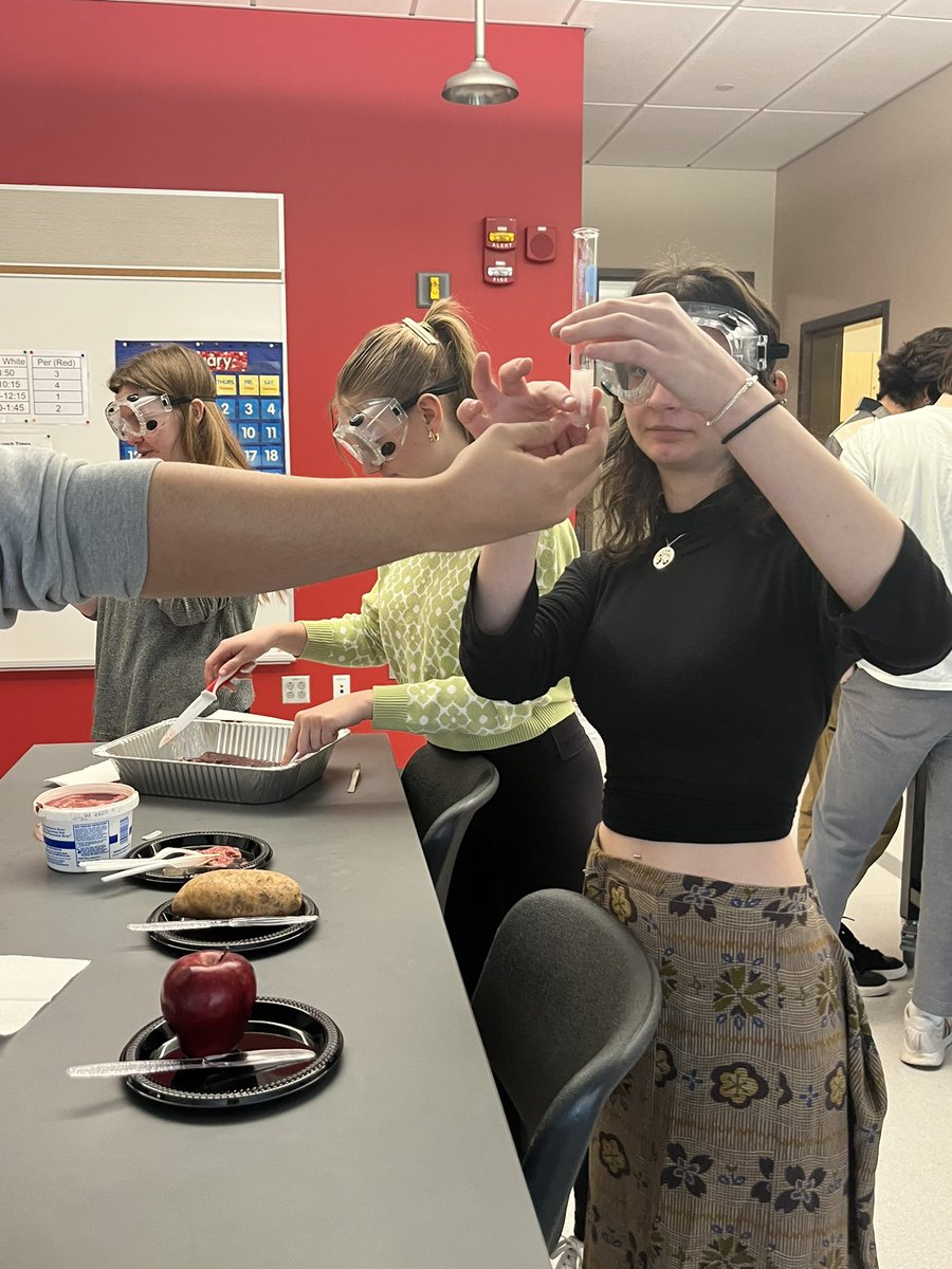 Kelly McNeary tweet media