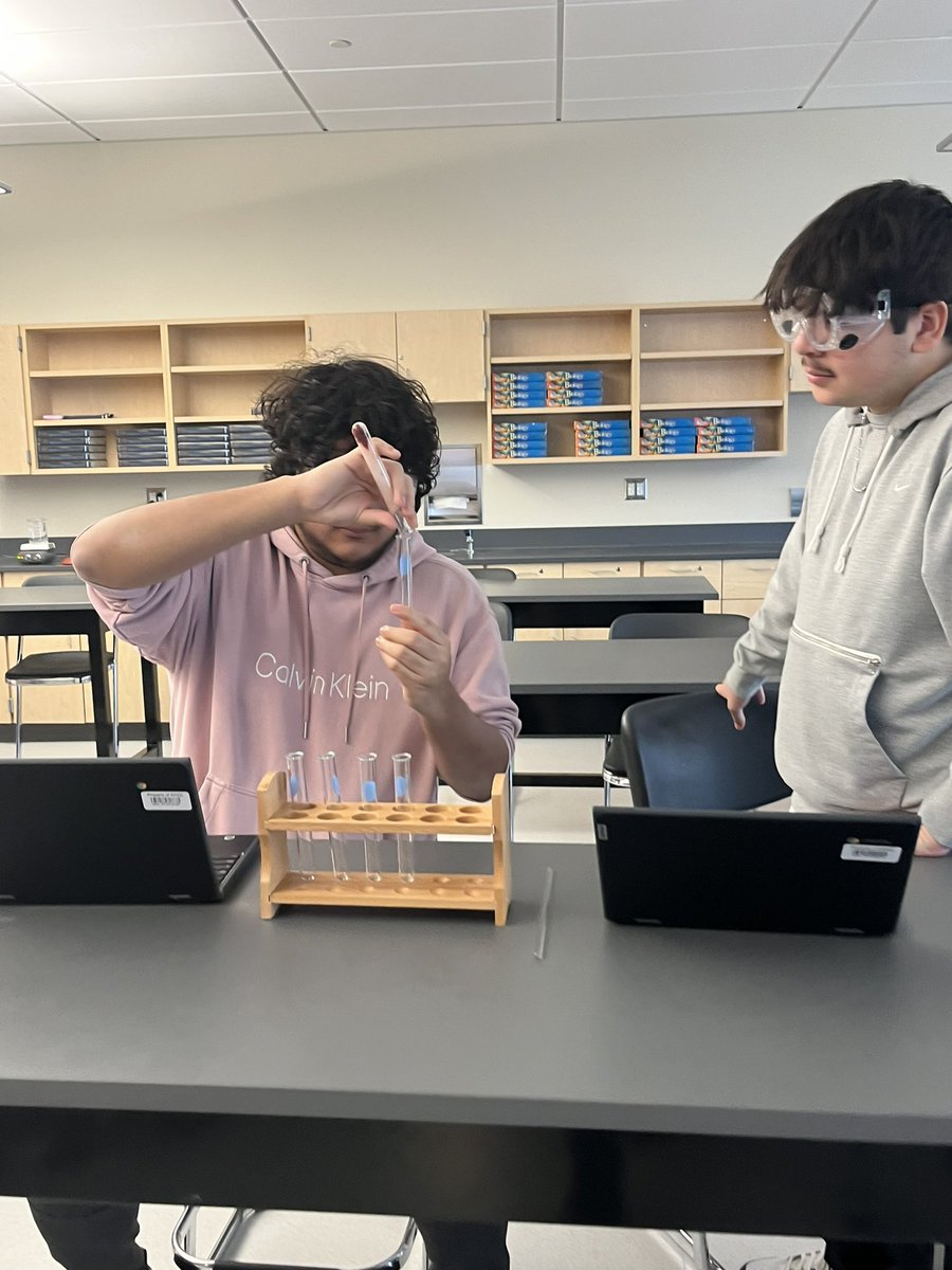 Kelly McNeary tweet media