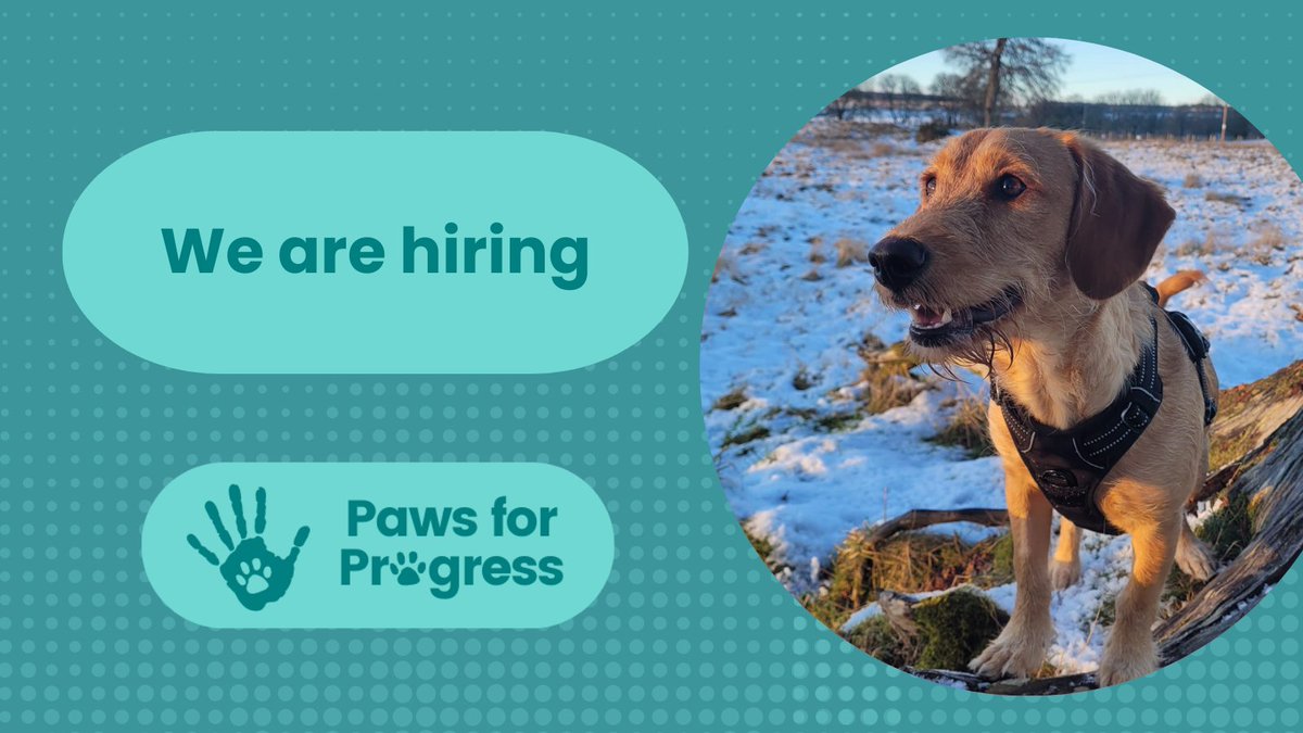 PawsforProgress's tweet photo. We are are seeking a motivated & efficient Administration & Finance Assistant to join our team!
For more info & to apply please follow link:
https://t.co/zBwDCGEQTV...
#adminjobs #financejobs #humananimalinteraction #recruitment #careers #careeropportunities #PawsforProgress https://t.co/rffYq02IOi