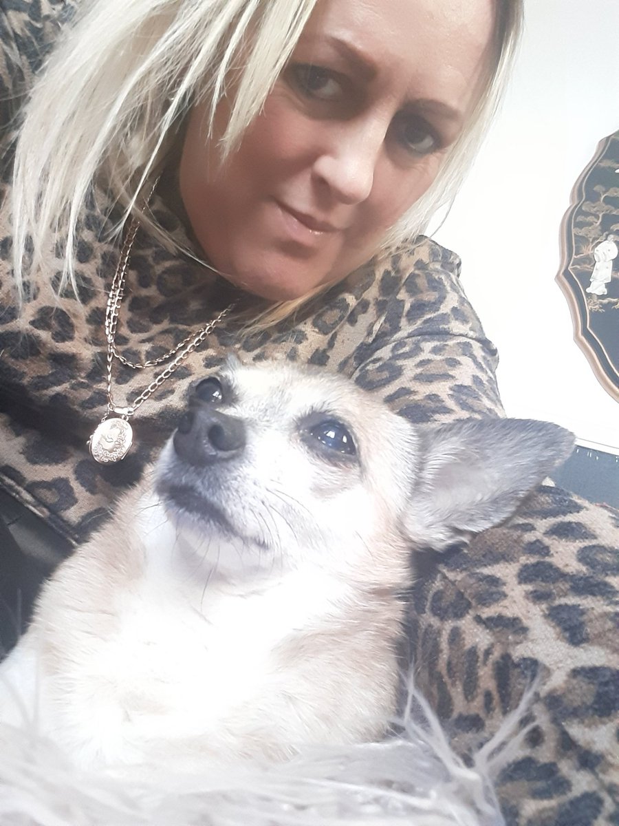 Afternoon From Me &amp; The Misha!❤🐾