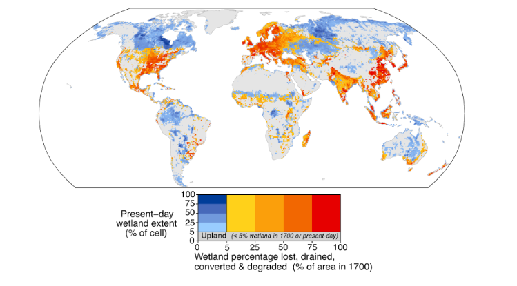 How much wetland cover has been lost globally through conversion to human uses? What are the loss drivers &amp; hotspots? Answers in new paper: rdcu.be/c5brO by @etiennefluet <a href="/SteniBocker/">Beni Stocker</a> @yuisheng @JoeRMelton @carBenPoulter <a href="/Global_HydroLAB/">Global HydroLAB</a> et al. #wetlands 1/6