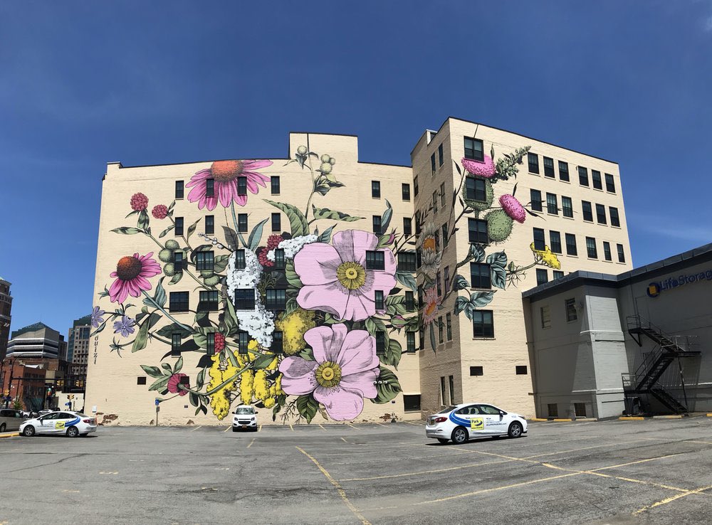 aDisenoMX's tweet image. Murales florales realizados por la artista Louise Jones.
#design #diseño #muralism #streetart