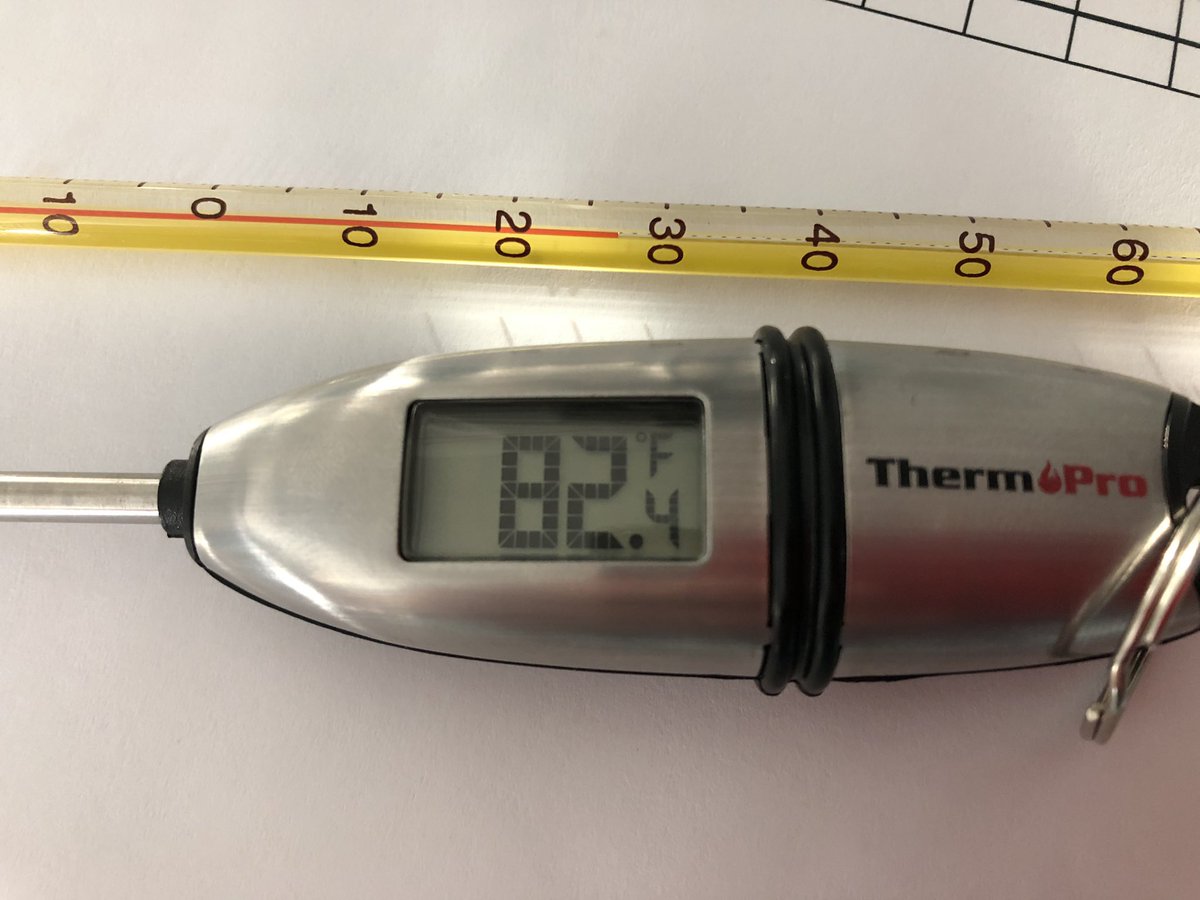 Adrienne Gillespie tweet media