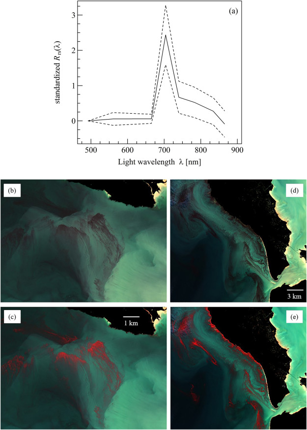 An excellent paper led by Pierre Gernez @NantesUniv 

'The many shades of red tides: Sentinel-2 optical types of highly-concentrated harmful algal blooms'🛰️📉📊🌍

Collaboration with @ICMAN_CSIC @Ifremer_fr 

See the complete article ▶️sciencedirect.com/science/articl…