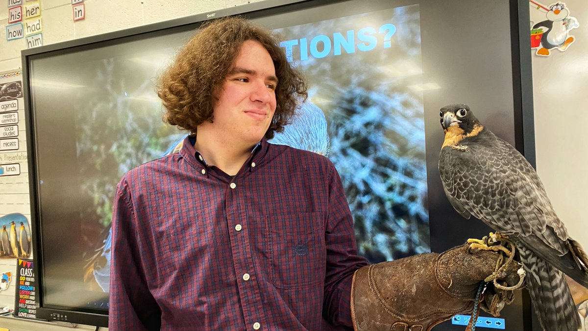 BBO biologist Jon and Maple, The Peregrine Falcon, teaching Grade 1 students about the falcons of Alberta with a BirdSmart Presentation.
#BeaverhilBirds #FalconsOfAlberta #PEFA #PeregrineFalcon #FalconsAreCool #EducationBird #BirdSmart